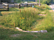 Bioswales, like this one near the Barn at Fallingwater, are also
being installed as part of the visitors’ parking lot renovation.