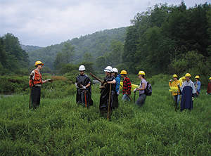 Workers prepare for a planting near Spring Creek.