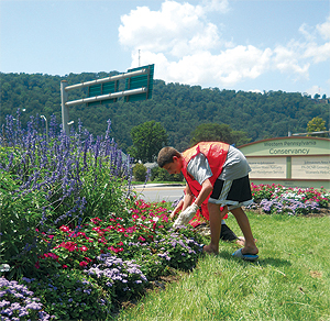 Volunteers tend to this community garden in Johnstown, Pa., one of WPC’s 135 gardens in 20 counties.