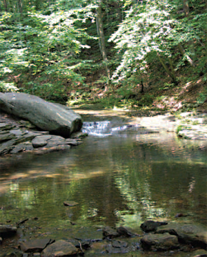 The Blue Hole