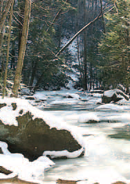 Glade Run