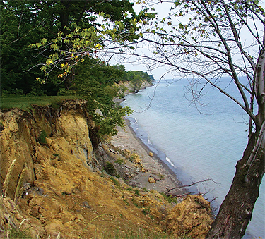 David M. Roderick
Wildlife Reserve.