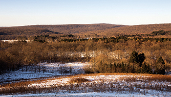 Snowy Field