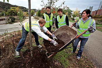 Volunteer tree tenders spread mulch on a newly planted tree near downtown Pittsburgh.
